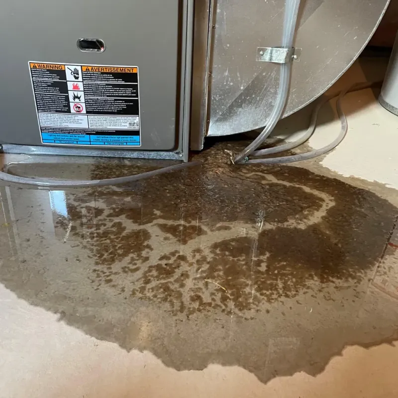 Appliance Leak Cleanup in Verona, VA